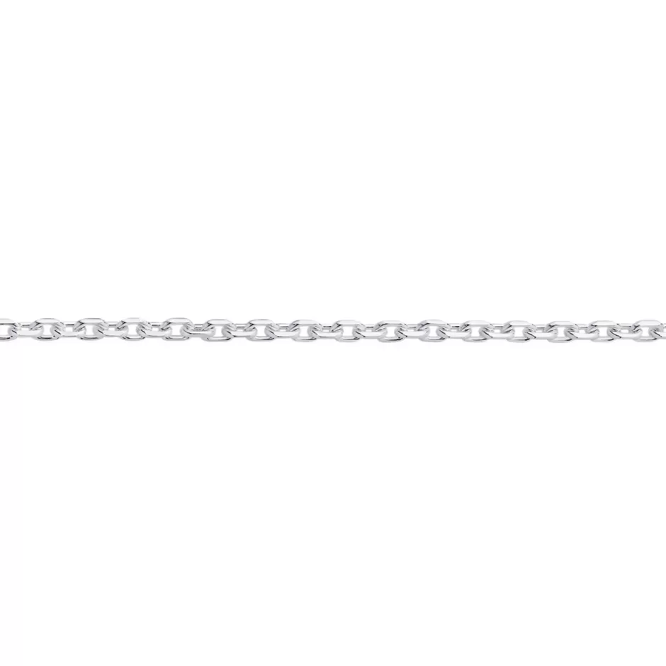 Prouds Body Jewellery>Silver 25Cm Bevelled Cable Anklet